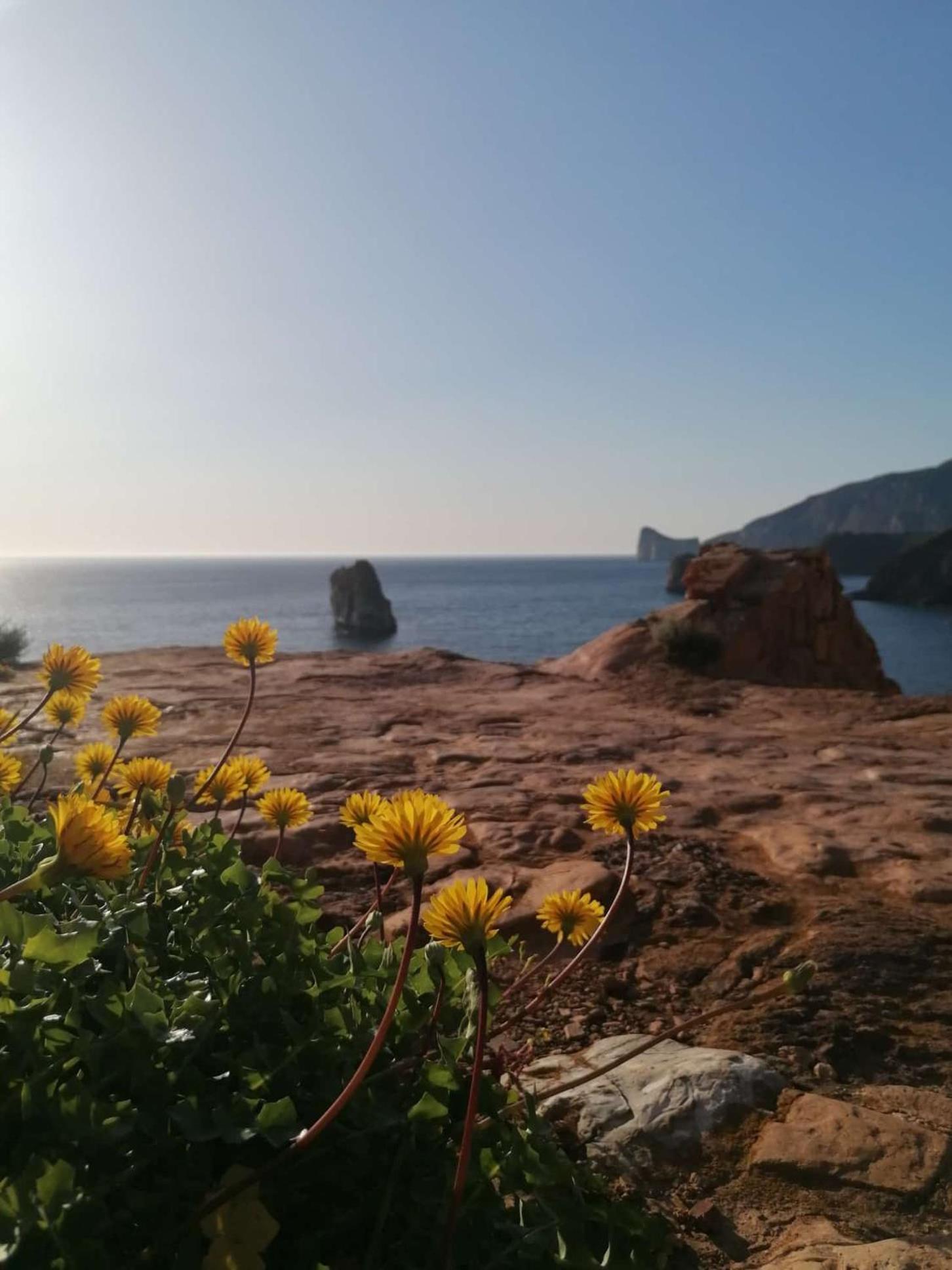 B&B Sa Turre Иглесиас Экстерьер фото